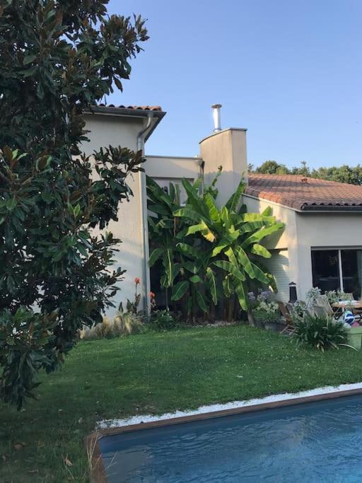 Le Calme Aux Portes De Toulouse Piscine, Clim Colomiers Exterior foto